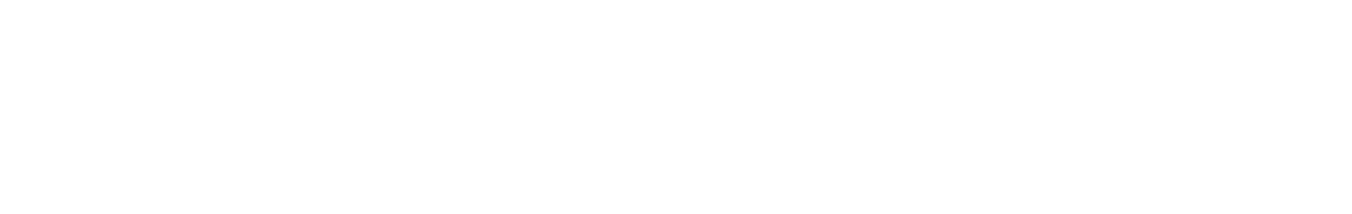 logo voyan